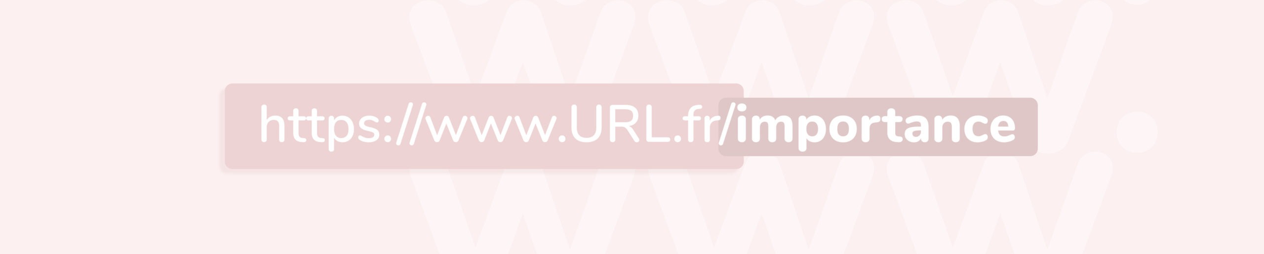 importance de l'url en SEO